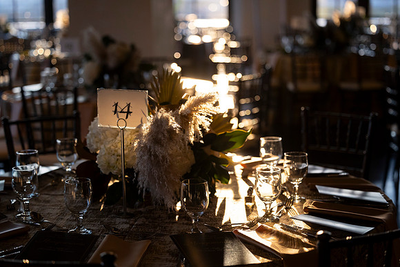 20241012_HaloHouseGala015