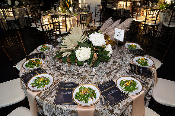 20241012_HaloHouseGala020