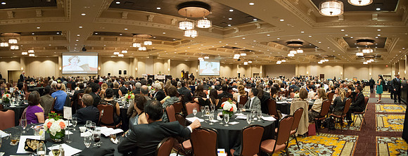 Halo House Gala 2013